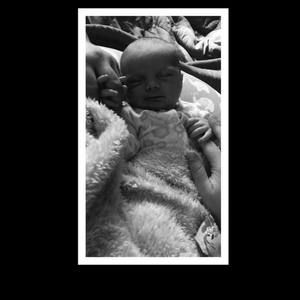 Meet your Posher, Brook